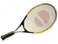 MINI PRO 21